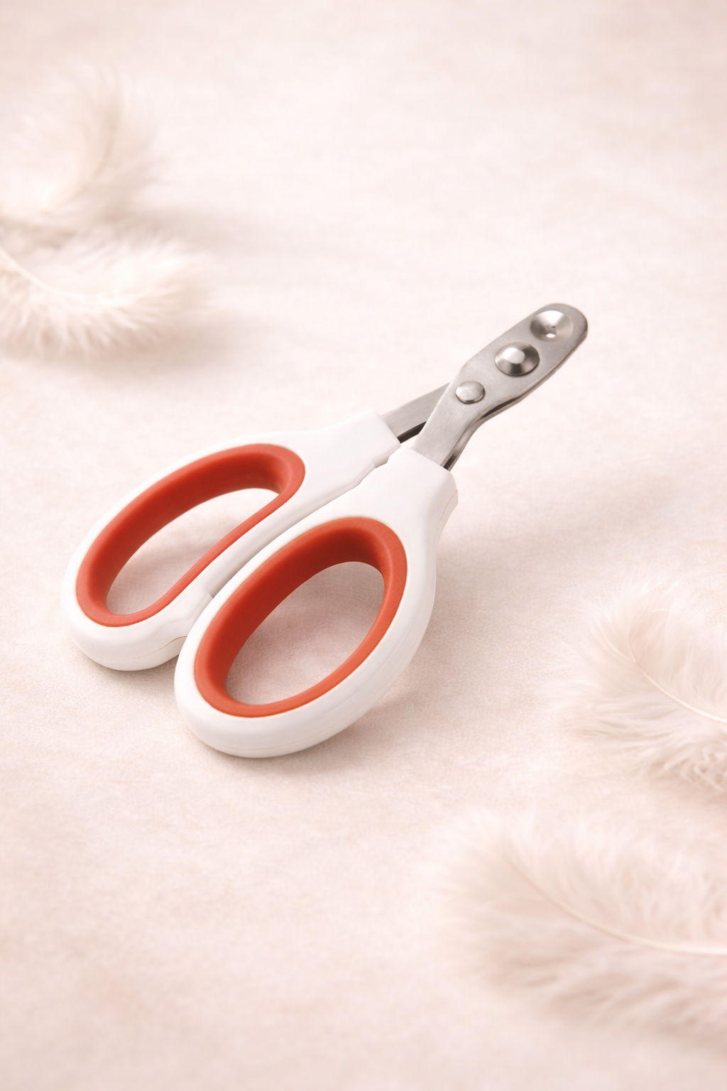 ✂️ Coupe-Griffes en Acier Inoxydable – Soin Précis pour Petit Félin