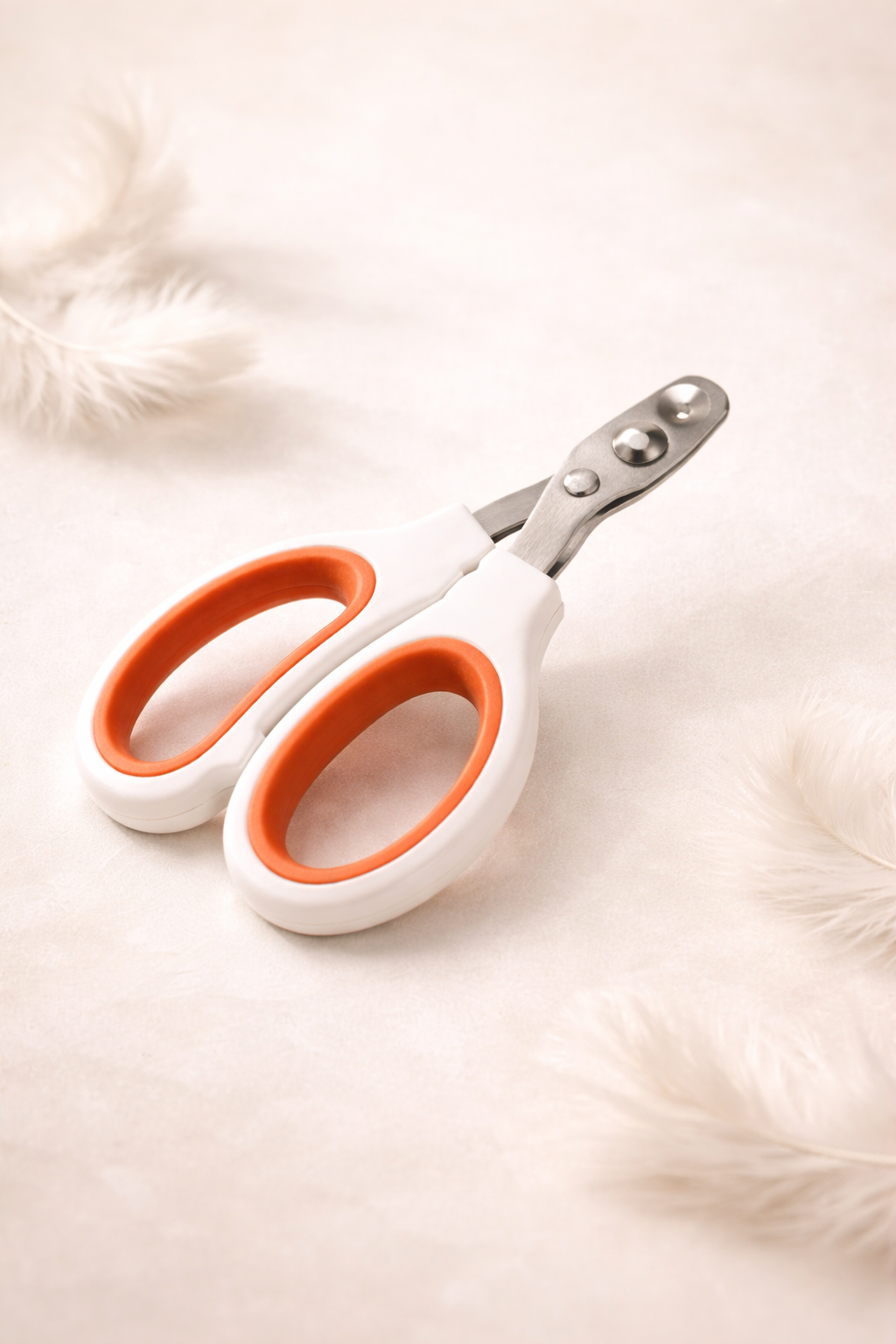 ✂️ Coupe-Griffes en Acier Inoxydable – Soin Précis pour Petit Félin