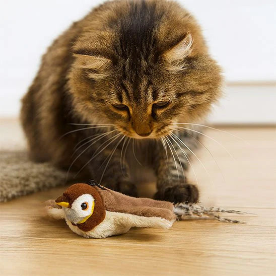 🐦 Flappy Bird – Le jouet irrésistible pour votre petit félin