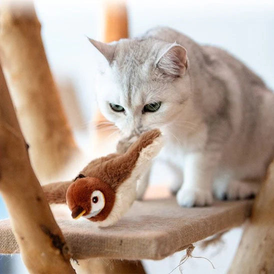 🐦 Flappy Bird – Le jouet irrésistible pour votre petit félin